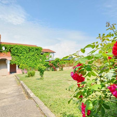 Apartmani Maca Sikovo Zewnętrze zdjęcie