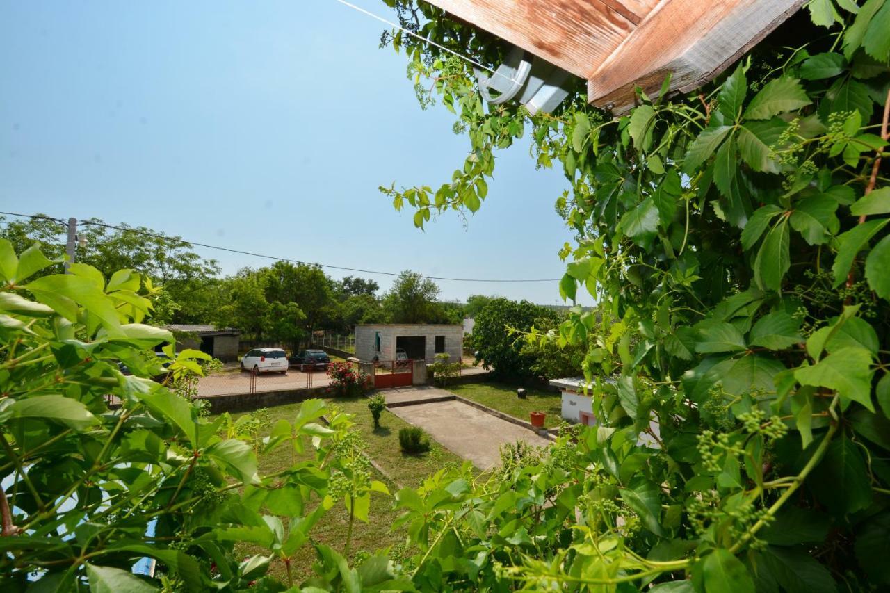 Apartmani Maca Sikovo Zewnętrze zdjęcie